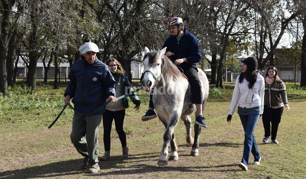 Intervenciones asistidas con equinos: en Casilda piden por una ley que los ampare