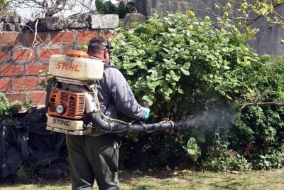 Dengue en Santa Fe: se registraron ms de 680 casos en la provincia
