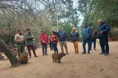 Reserva La Chinita se suma al Sistema de reas Naturales Protegidas