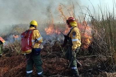 La Niña y cómo prevenir incendios en Santa Fe Coordinan acciones