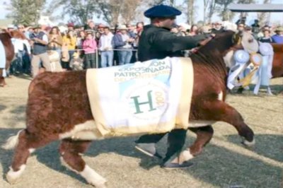 Resumen de muy buenas ventas en la expo rural