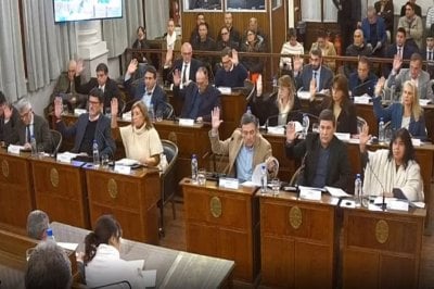 Senadores aprobaron a Santiago Laumann como vocal del CGE