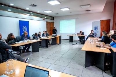 Taló un árbol para construir una cochera: un jurado vecinal lo declaró culpable En Rosario