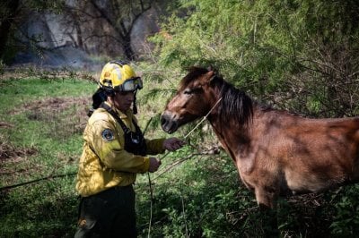 Brigadistas santafesinos lograron contener los focos ígneos en islas entrerrianas Incendios