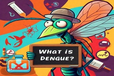 Alumnos de Las Petacas crearon una app para educar a adolescentes sobre el dengue