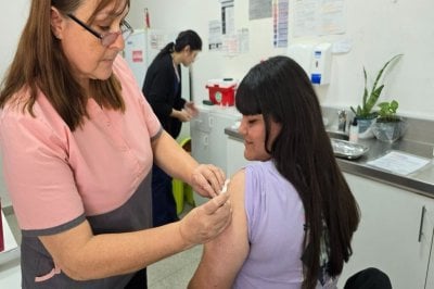 La venta de vacunas particulares contra el Dengue crece en Rosario