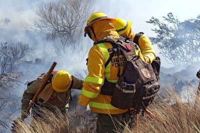 Brigadistas santafesinos controlaron los incendios en la zona de Ongamira