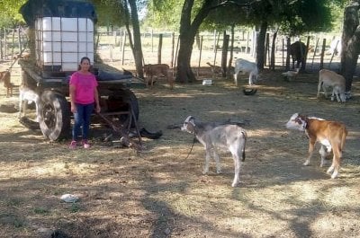 El rol clave de la mujer en el campo se debatir en un foro internaconal