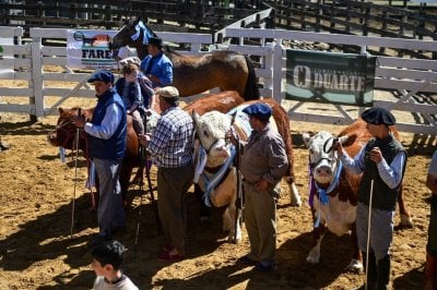 Finaliz el calendario de exposiciones rurales