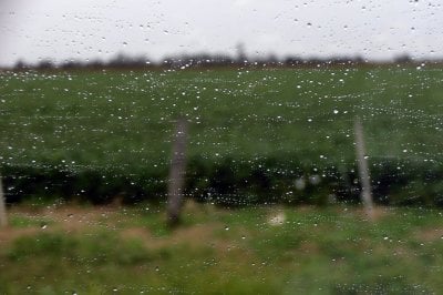 Celebra la zona ncleo: las lluvias suman volmenes importantes