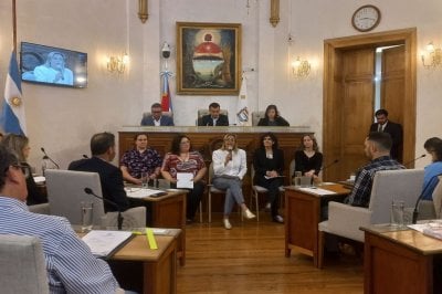 La Defensora del Pueblo expuso su informe anual al Concejo Deliberante