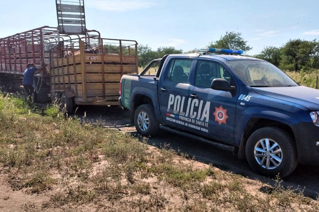 Quedaron detenidos los imputados por el robo de hacienda a un terrateniente italiano Vera