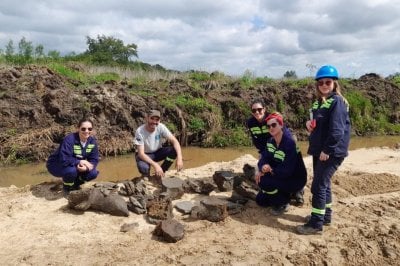  En la cantera El Mangrullo: hallaron restos fsiles que podran ser de una ballena de hace miles de aos