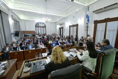  El Senado aprob la implementacin del RINI y la adhesin al RIGI