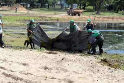 Ex cuidacoches trabajan en la renovacin del Parque Sur en la ciudad de Santa Fe