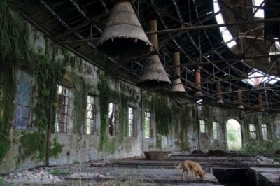 El film de una rosarina sobre la herencia de libros prohibidos, en el Festival de Mar del Plata