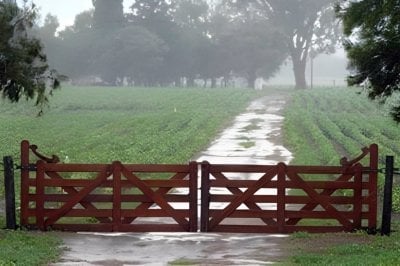 Lluvias traen alivio para la Regin Ncleo y reactivacin de la siembra de soja