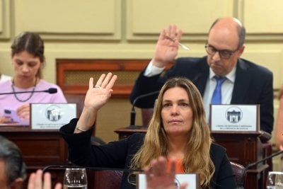 Di Stefano sobre la reforma de la Constitucin: Permitir un Estado ms eficiente, justo y transparente