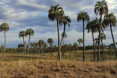  Encontraron restos seos en el Parque Nacional El Palmar de Coln