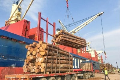  Entre Ros se consolida como un polo exportador para la industria forestal