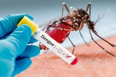 Con casos confirmados, advierten que el dengue est circulando en el departamento