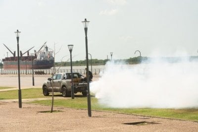 Continan los operativos de fumigacin en Rosario