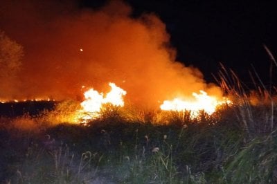 Desvo Arijn: incendio de campo, robo de cables y apagn masivo