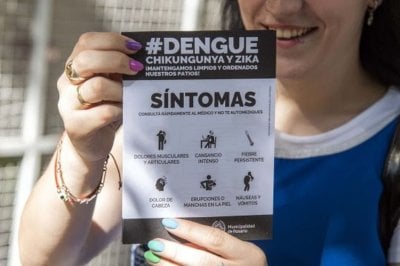 Cul es la situacin epidemiolgica del dengue en Rosario