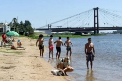 Santa Fe: 33 personas fueron mordidas por palometas este domingo Laguna Setúbal