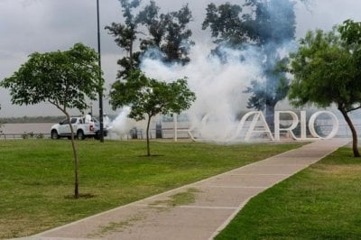 Rosario: intensifican la fumigacin en 67 espacios verdes de la ciudad