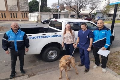 La Oficina de Proteccin Animal consolida su rol ante situaciones de maltrato y abandono