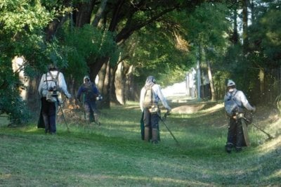 Se intensificaron los trabajos de poda y desmalezado en Venado Tuerto