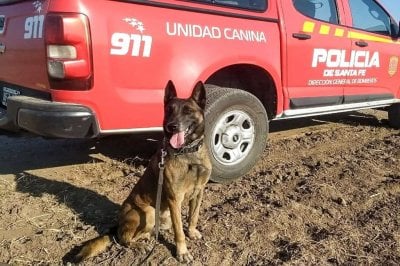 El adis a Baloo, el perro rescatista que fue hroe de los santafesinos