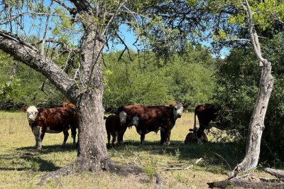 Recomendaciones ante la ola de calor