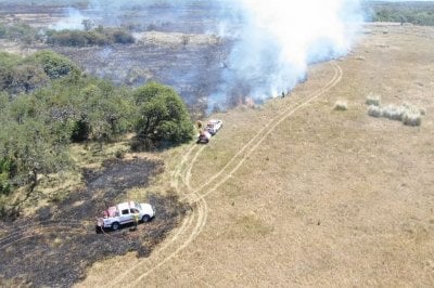 Bomberos Voluntarios trabajan para controlar un fuego que ya arras hasta 9.000 hectreas