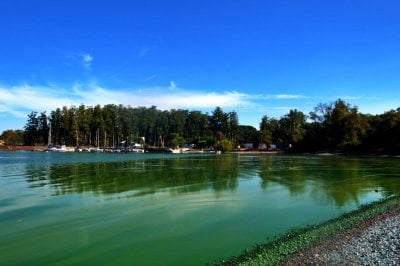 Exigen informacin oficial del gobierno de Entre Ros sobre el lago contaminado