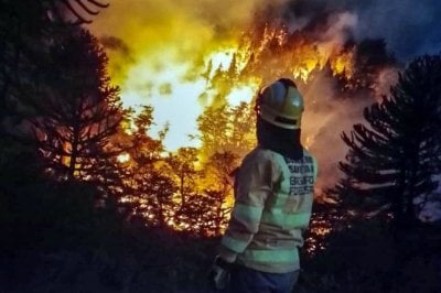 Combate al fuego: brigadistas santafesinos trabajan al pie del volcn Lann