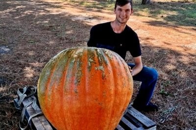 Joven concordiense marc un rcord al cosechar un zapallo de 127 kilos