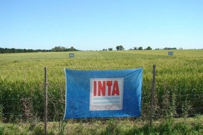 En Entre Ros se eliminarn tres agencias de extensin del INTA