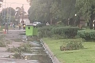 Centeno: fuertes vientos, destrozos y voladuras de techos y árboles Esta madrugada