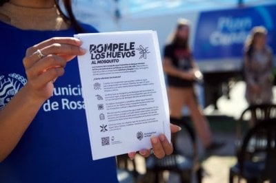 Dengue en Rosario: se diagnosticaron 211 casos en lo que va de la temporada 2024/2025