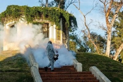 Fumigacin en espacios verdes: continan los operativos en Rosario