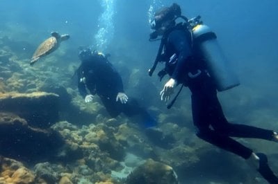 El buceo, con una agenda cargada para la regin