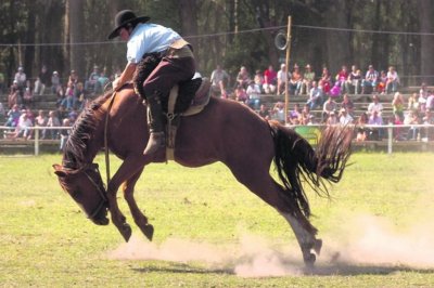 Veterinarios recordaron que un profesional debe controlar las carreras, jineteadas y domas